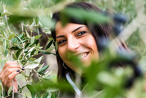 Sorridendo tra i rami di un ulivo carico di olive