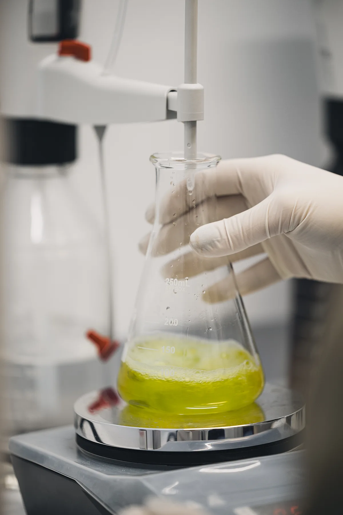 Analisi dell'olio extravergine nel laboratorio del frantoio.