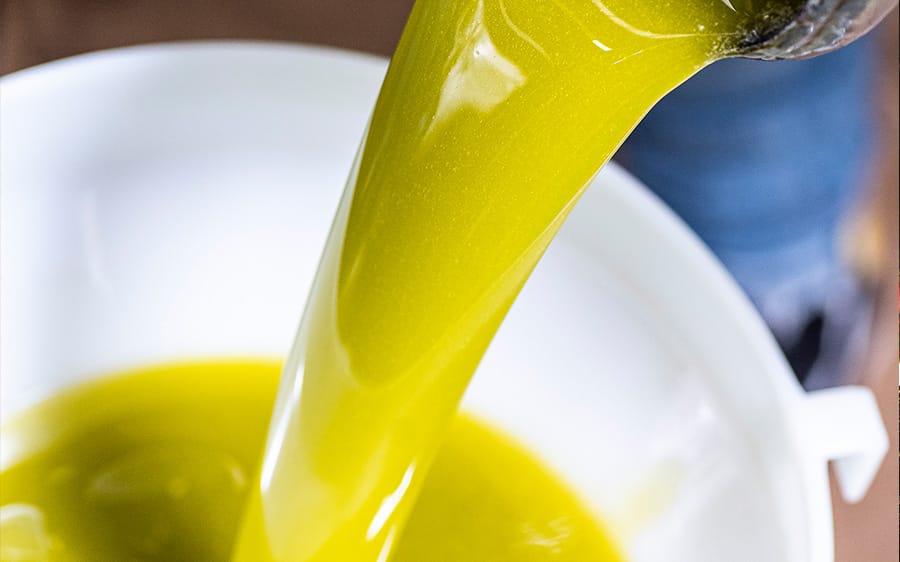 Olio extravergine appena versato, la base di ogni Gust'Oil