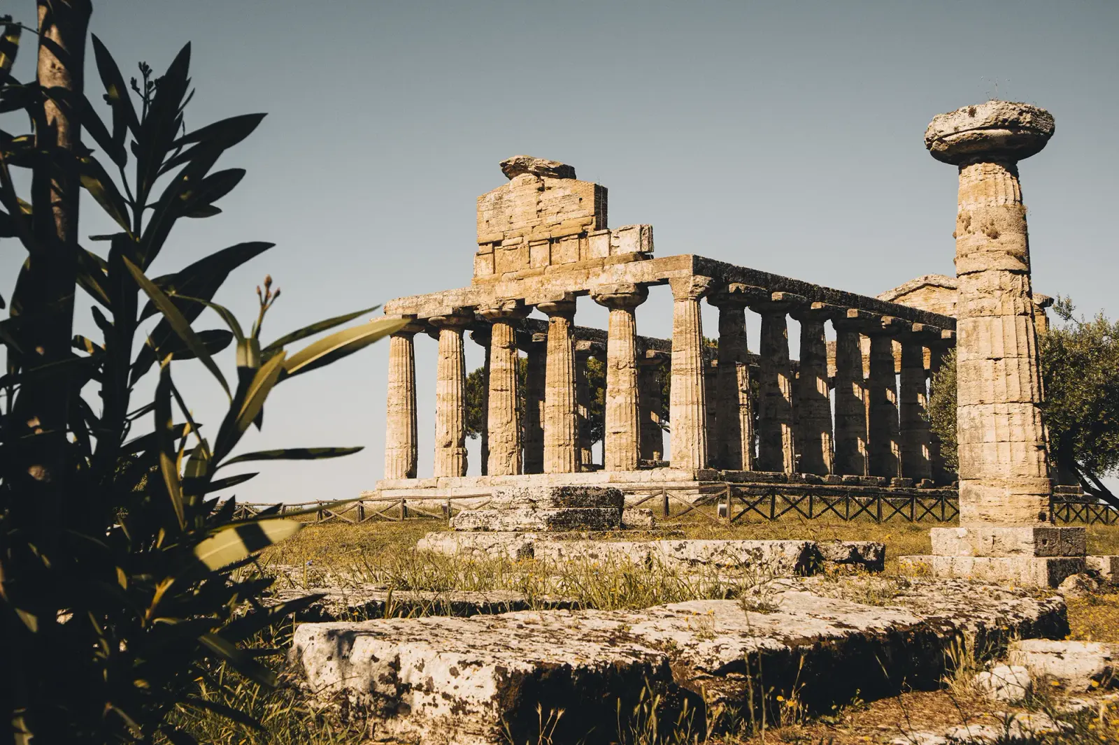 I templi greci di Paestum, nel Cilento, culla della dieta mediterranea.